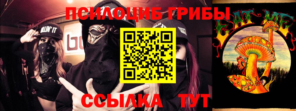 Псилоцибиновые грибы мицелий  Вход с VPN  Вязники 